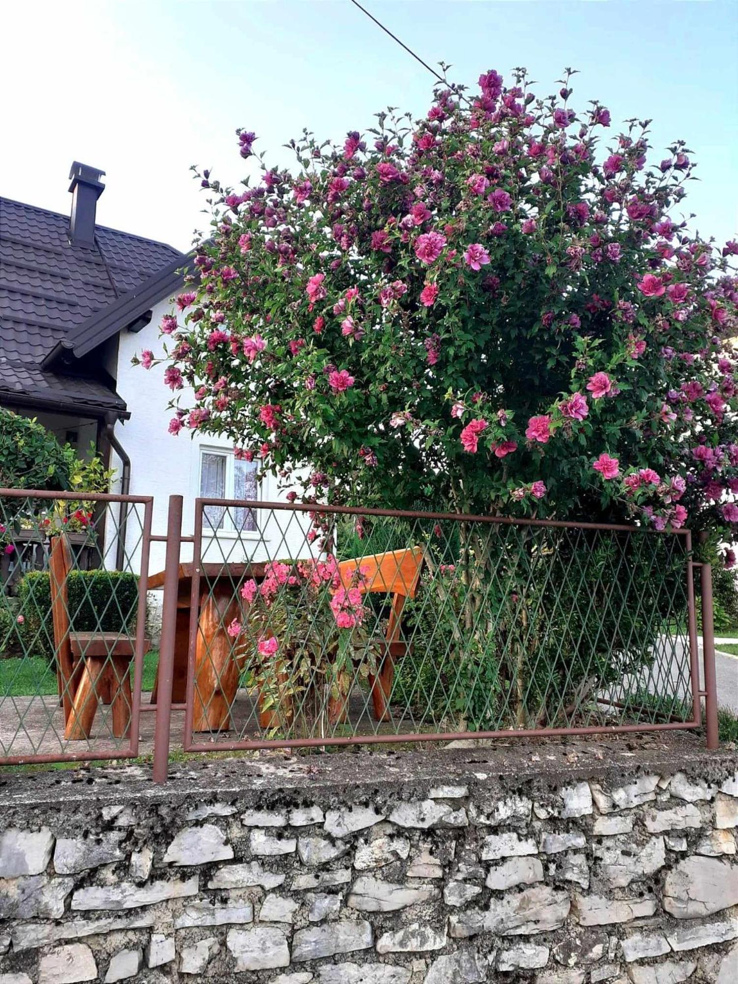 Guesthouse Milka Poljanak Exterior photo